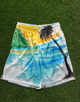 Flanuer Homme swimsuit (S)