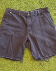 Carhartt Shorts (38)