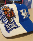 Kentucky wildcats SnapBack