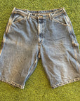 Polo Jean Shorts (34)