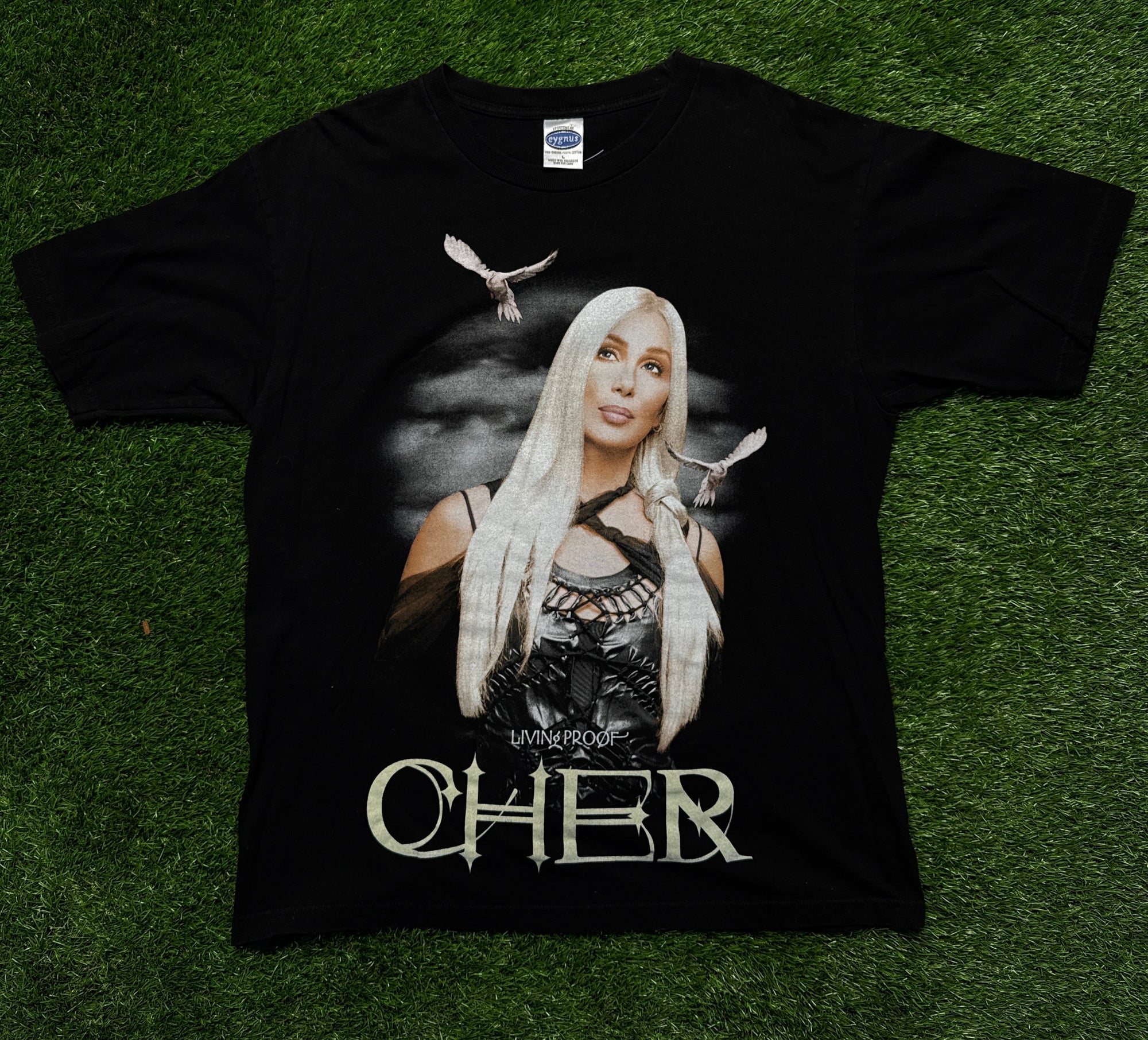 CHER tour 2092 (L)