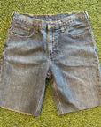 Carhartt Shorts (33)