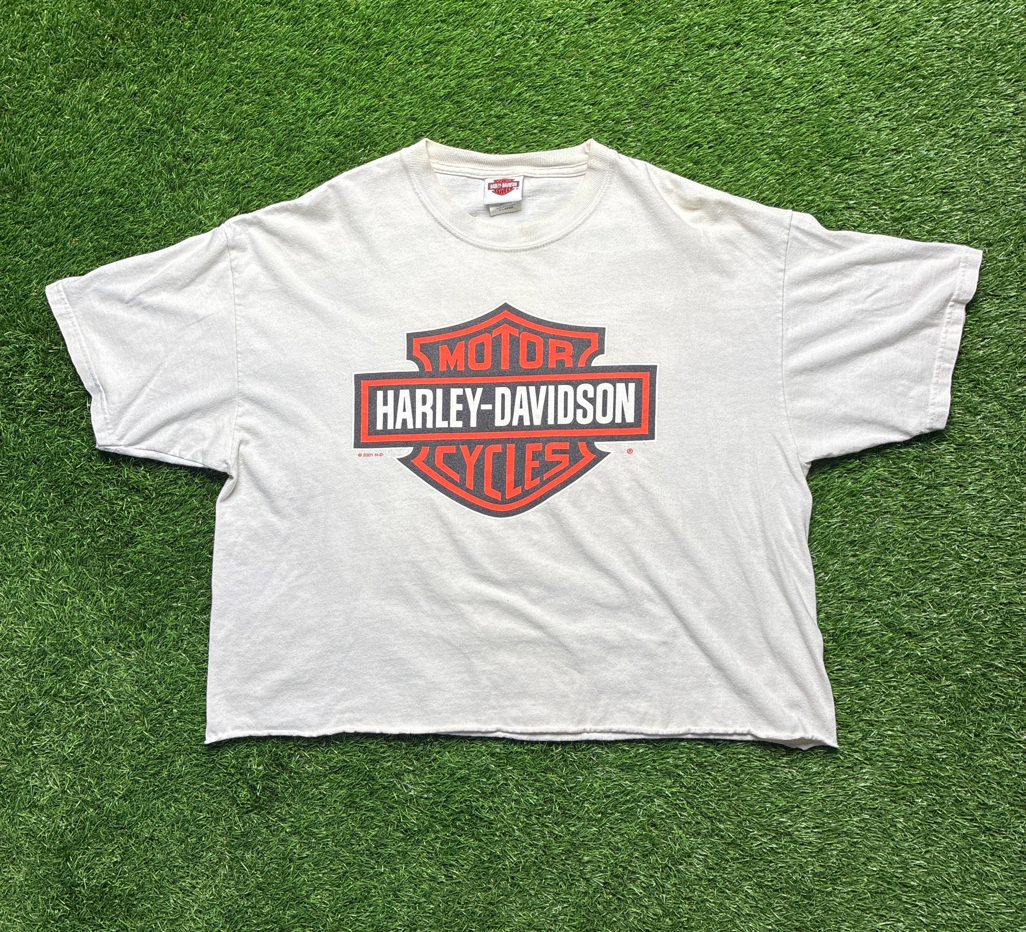 Harley, Louisville cropped (XL)