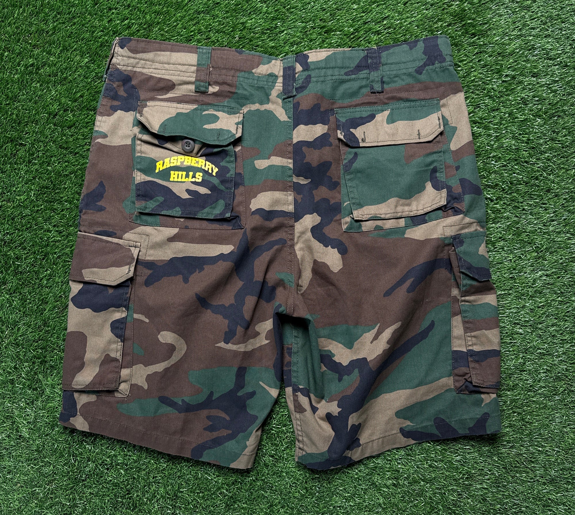 Raspberry hills shorts (38)