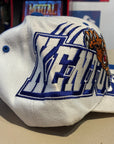 Kentucky wildcats SnapBack