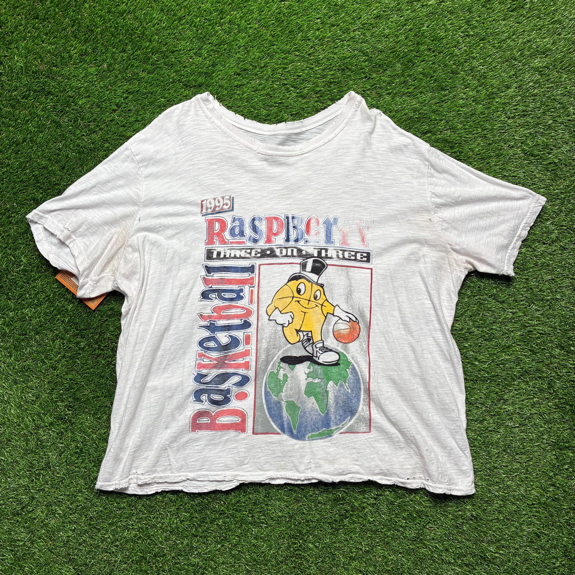 Raspberry hills (XL)