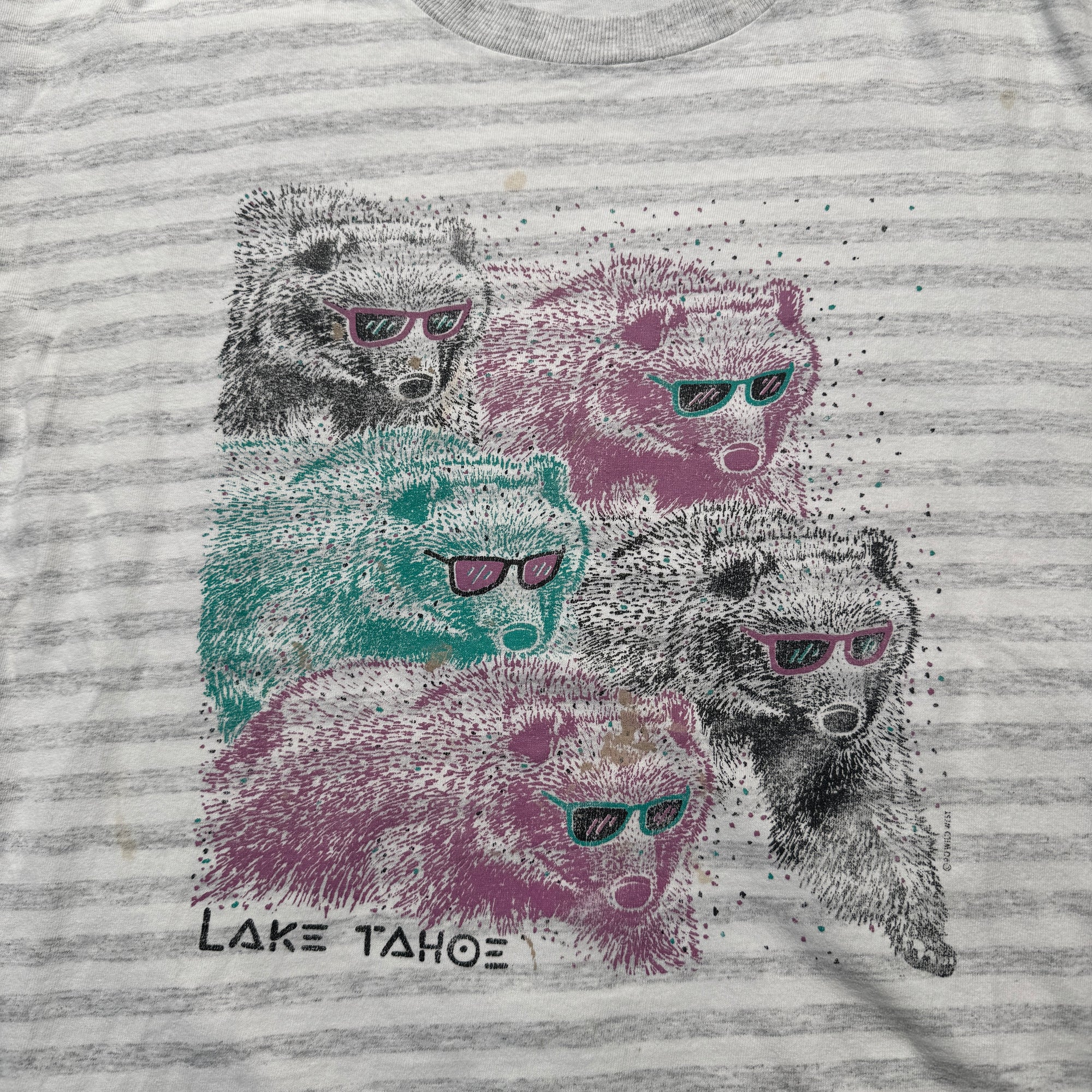 Lake Tahoe Tee (M)
