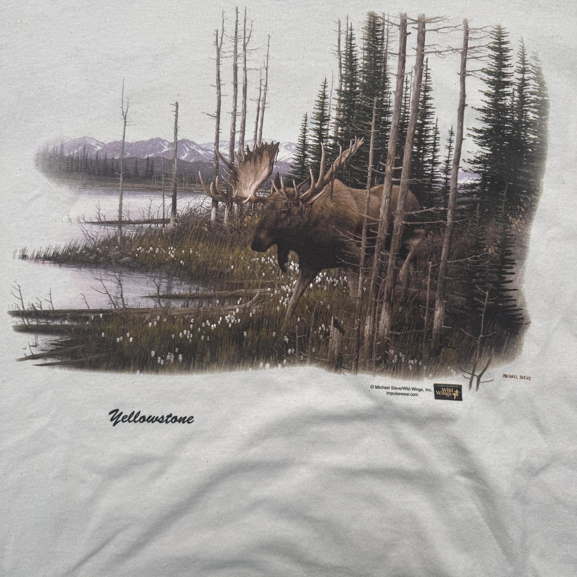 Yellowstone Tee (XL)